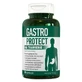 Gastro Protect, 80 капсул