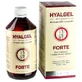 Silvita HYALGEL FORTE сироп с апельсиновым вкусом 500 мл