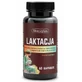 Skoczylas Lactation для кормящих женщин 60 капсул