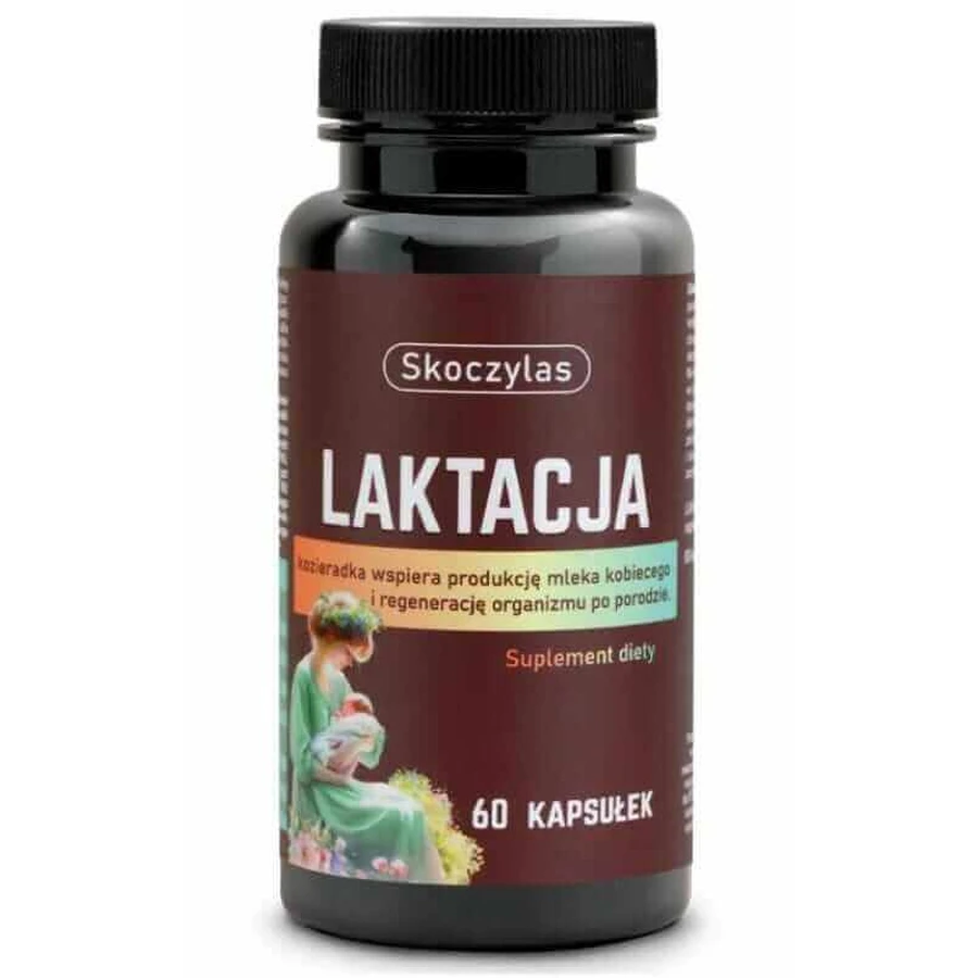 Skoczylas Lactation для кормящих женщин 60 капсул: цены и характеристики