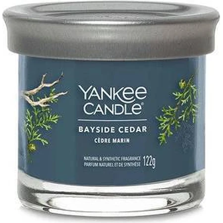 Yankee Candle Signature маленька свічка Bayside Cedar 1×122 г, ароматична свічка: ціни та характеристики
