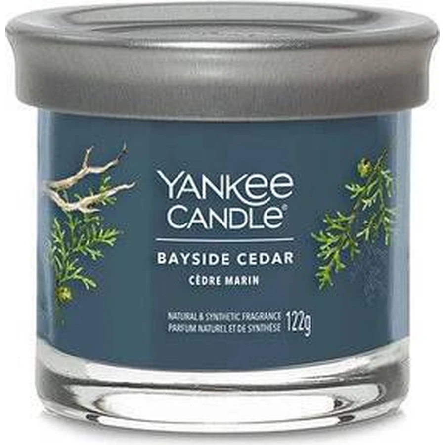 Yankee Candle Signature маленька свічка Bayside Cedar 1×122 г, ароматична свічка: ціни та характеристики