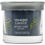 Yankee Candle Signature маленька свічка Bayside Cedar 1×122 г, ароматична свічка: ціни та характеристики