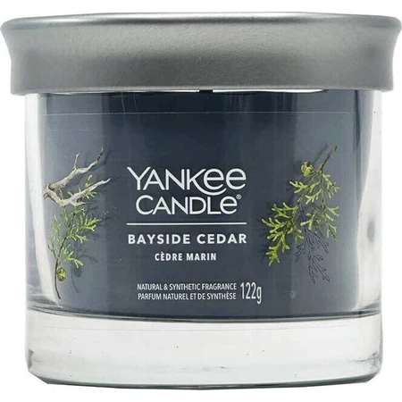 Yankee Candle Signature маленька свічка Bayside Cedar 1×122 г, ароматична свічка: ціни та характеристики