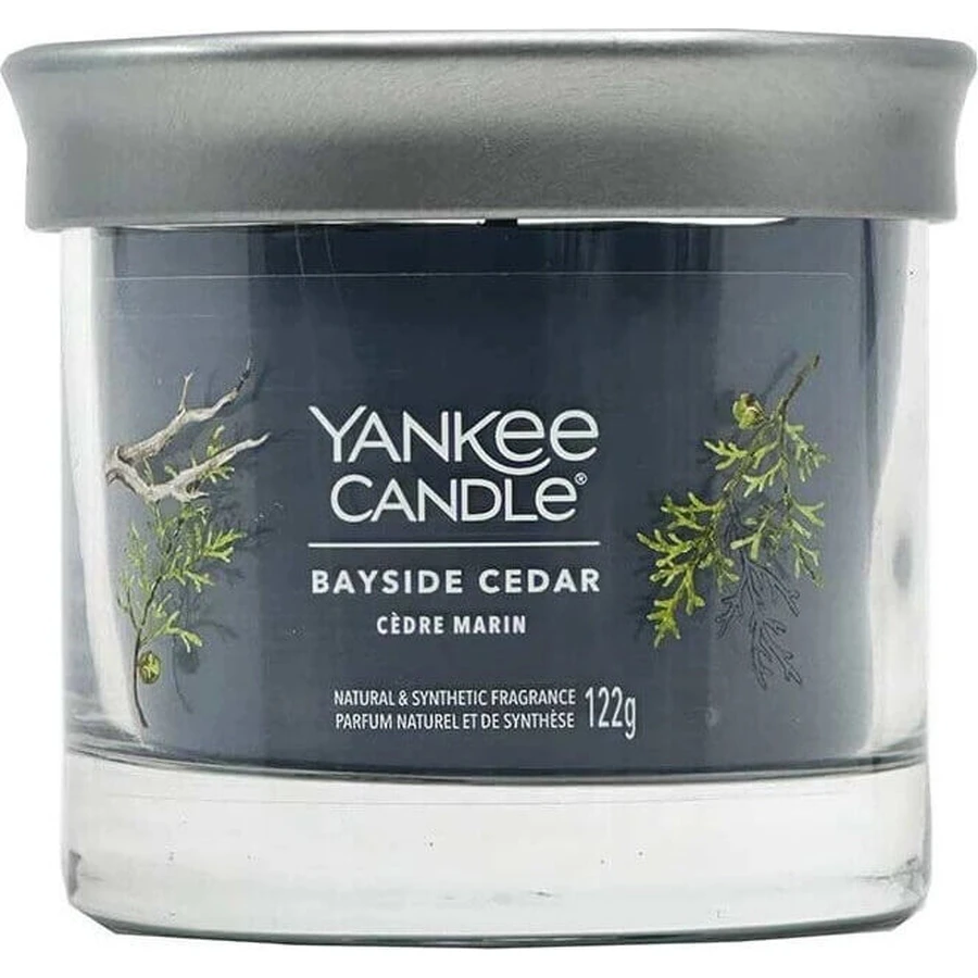 Yankee Candle Signature маленька свічка Bayside Cedar 1×122 г, ароматична свічка: ціни та характеристики