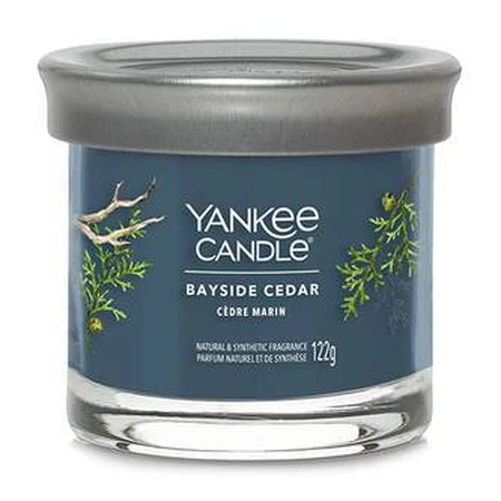 Yankee Candle Signature маленька свічка Bayside Cedar 1×122 г, ароматична свічка: ціни та характеристики