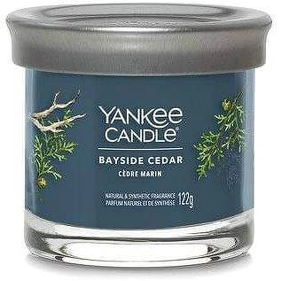 Yankee Candle Signature маленька свічка Bayside Cedar 1×122 г, ароматична свічка: ціни та характеристики