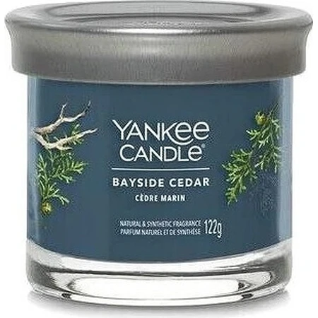 Yankee Candle Signature маленька свічка Bayside Cedar 1×122 г, ароматична свічка: ціни та характеристики
