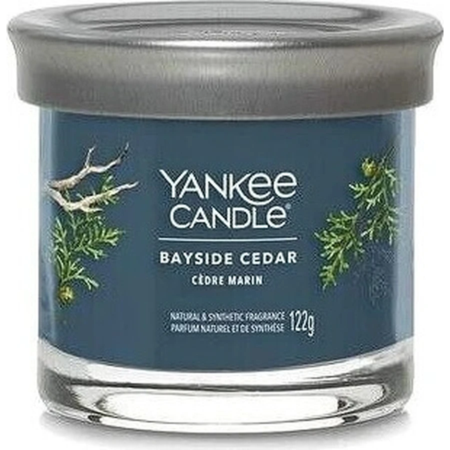 Yankee Candle Signature маленька свічка Bayside Cedar 1×122 г, ароматична свічка: ціни та характеристики