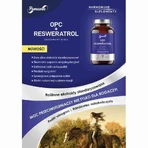 OPC + ресвератрол Panaseus (430 мг) 50 капсул: ціни та характеристики