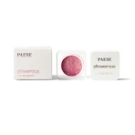 Paese Glowerous Limited Edition Powder Eye Pigment Gold Rose, 1,5 г: цены и характеристики