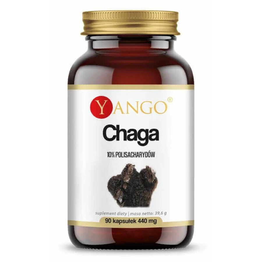 Экстракт чаги 10% полисахаридов (90 капсул) YANGO: цены и характеристики