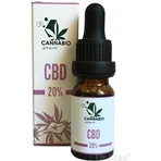 CANNABIOpharm CBD 20% 1×10 мл, конопляное масло: цены и характеристики