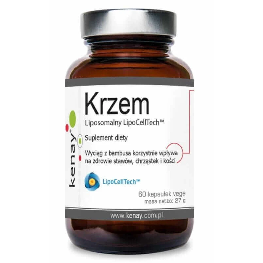 Ліпосомальний кремній LipoCellTech 60 капсул Kenay: ціни та характеристики
