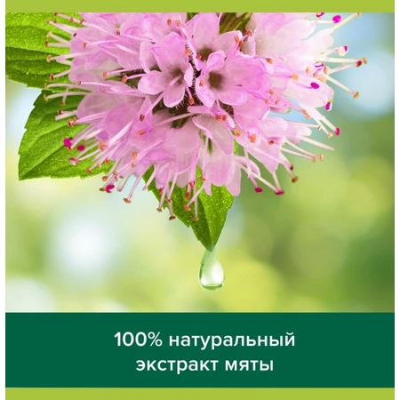 Гель-крем для душа Palmolive Thermal Spa Массаж, 250 мл: цены и характеристики