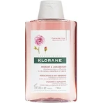 KLORANE SHAMPOO з БІО-півонією 1×200мл, шампунь для чутливої та подразненої шкіри голови: ціни та характеристики