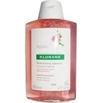 KLORANE SHAMPOO з БІО-півонією 1×200мл, шампунь для чутливої та подразненої шкіри голови: ціни та характеристики