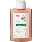 KLORANE SHAMPOO з БІО-півонією 1×200мл, шампунь для чутливої та подразненої шкіри голови: ціни та характеристики