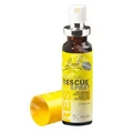Спрей Flower Remedy Original Bach Flower Remedy Spray, 20 мл, рятівний засіб