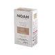 Noah