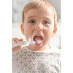 Детская зубная щетка Jack n' Jill Sonic Baby Toothbrush Tickle Tooth 0-6 лет: цены и характеристики