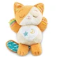 Муркотливе кошеня, 0 місяців+, Vtech