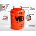 Extrifit 100% Whey Protein Fruit Shake 2000 г: цены и характеристики