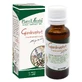 Экстракт Plant Extrakt Giardinophyt растительный, 30 мл