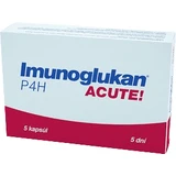 Плеуран Иммуноглюкан P4H ACUTE 300 мг 5 капсул