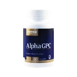 Альфа GPC 300мг Jarrow Formulas, 60 капсул, Secom