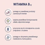 Naturell Vitamin B12 Forte, 120 жевательных таблеток: цены и характеристики