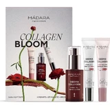 MÁDARA COLLAGEN BLOOM Набор для усиленной кожи 1×1шт, подарочный набор