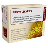 Корень одуванчика Hanus 80 г