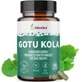 BLENDEA GOTU KOLA 90CPS 1×90 cps, пищевая добавка