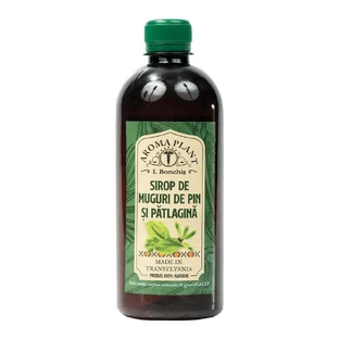 Сироп з сосни та патлагіни, 500 мл, Aroma Plant