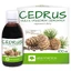 Alter Medica Cedrus, масло кедрового ореха, 100 мл