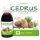 Alter Medica Cedrus, олія кедрового горіха, 100 мл