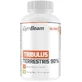 GymBeam Tribulus Terrestris неароматизированный 120 таблеток