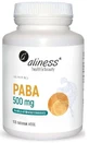 PABA (p-амінобензойна кислота) 500 мг, 100 таблеток вегетеріанської форми Aliness