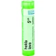 Boiron Hekla Lava CH5 гранулы 4 г