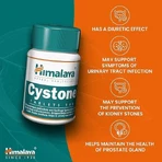 Цистон Himalaya, 2 шт. по 60 таблеток: цены и характеристики