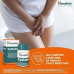 Цистон Himalaya, 2 шт. по 60 таблеток: цены и характеристики