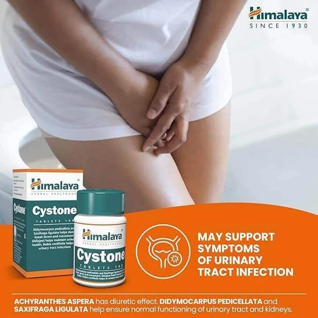 Цистон Himalaya, 2 шт. по 60 таблеток: цены и характеристики