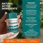 Цистон Himalaya, 2 шт. по 60 таблеток: цены и характеристики