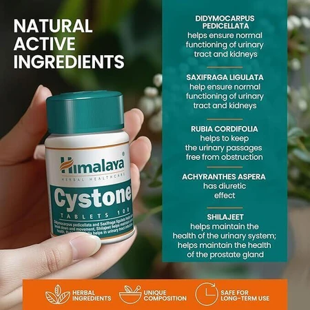 Цистон Himalaya, 2 шт. по 60 таблеток: цены и характеристики