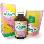 HANUS ECHINACEA CHILDREN'S SYRUP 1×50 мл, детский сироп, 6м+: цены и характеристики