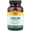 Холін, Choline, Country Life, 100 таблеток