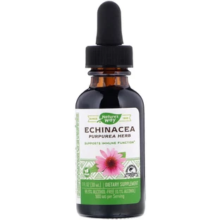Ехінацея без спирту (Echinacea), Nature's Way, 99.9%, 30 мл
