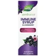 Чорна бузина, сироп, Sambucus Immune, Nature's Way, 240 мл