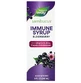 Черная бузина, сироп, Sambucus Immune, Nature's Way, 240 мл